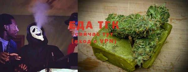 ECSTASY Алзамай