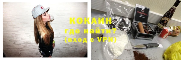 ECSTASY Алзамай