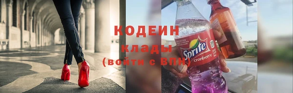 ECSTASY Алзамай