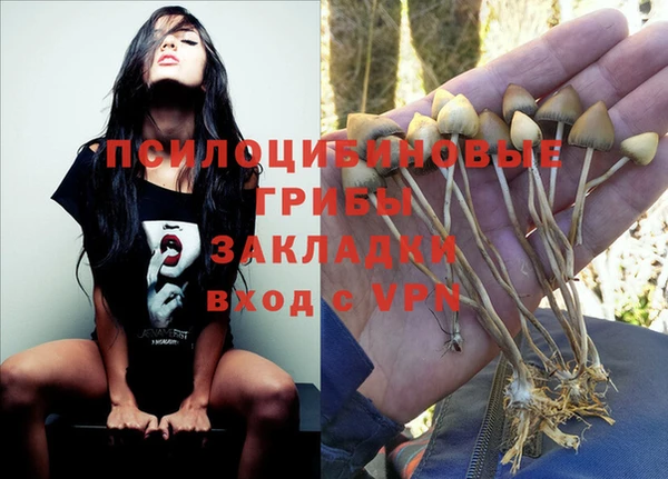 прущий лед Алексин